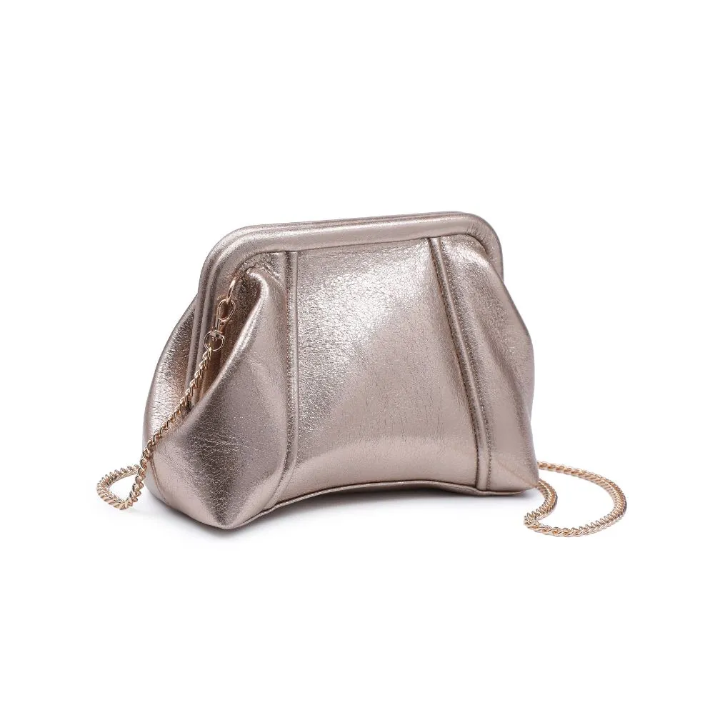 Agatha Metallic Clutch