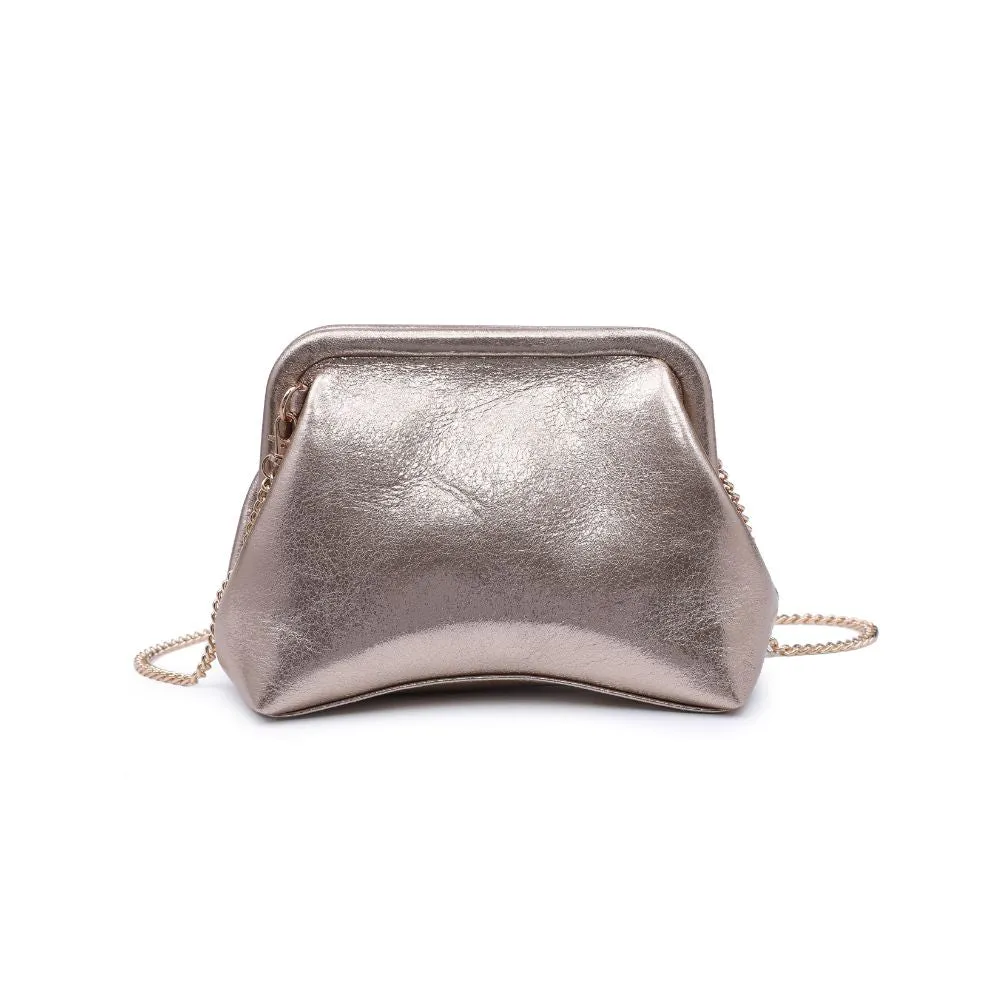 Agatha Metallic Clutch