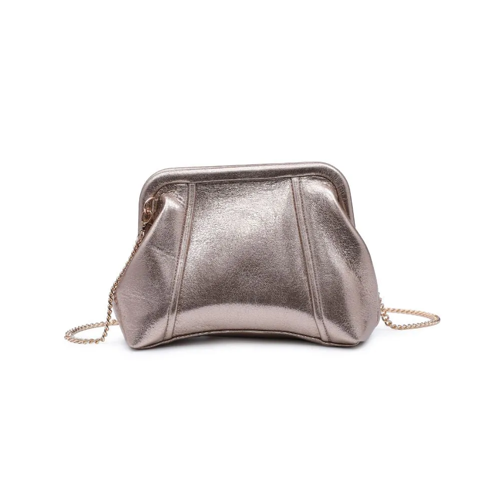 Agatha Metallic Clutch